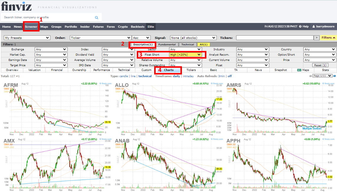 View the Screener Live on Finviz 4 Steps To Screen For High Short Interest Stocks With Finviz