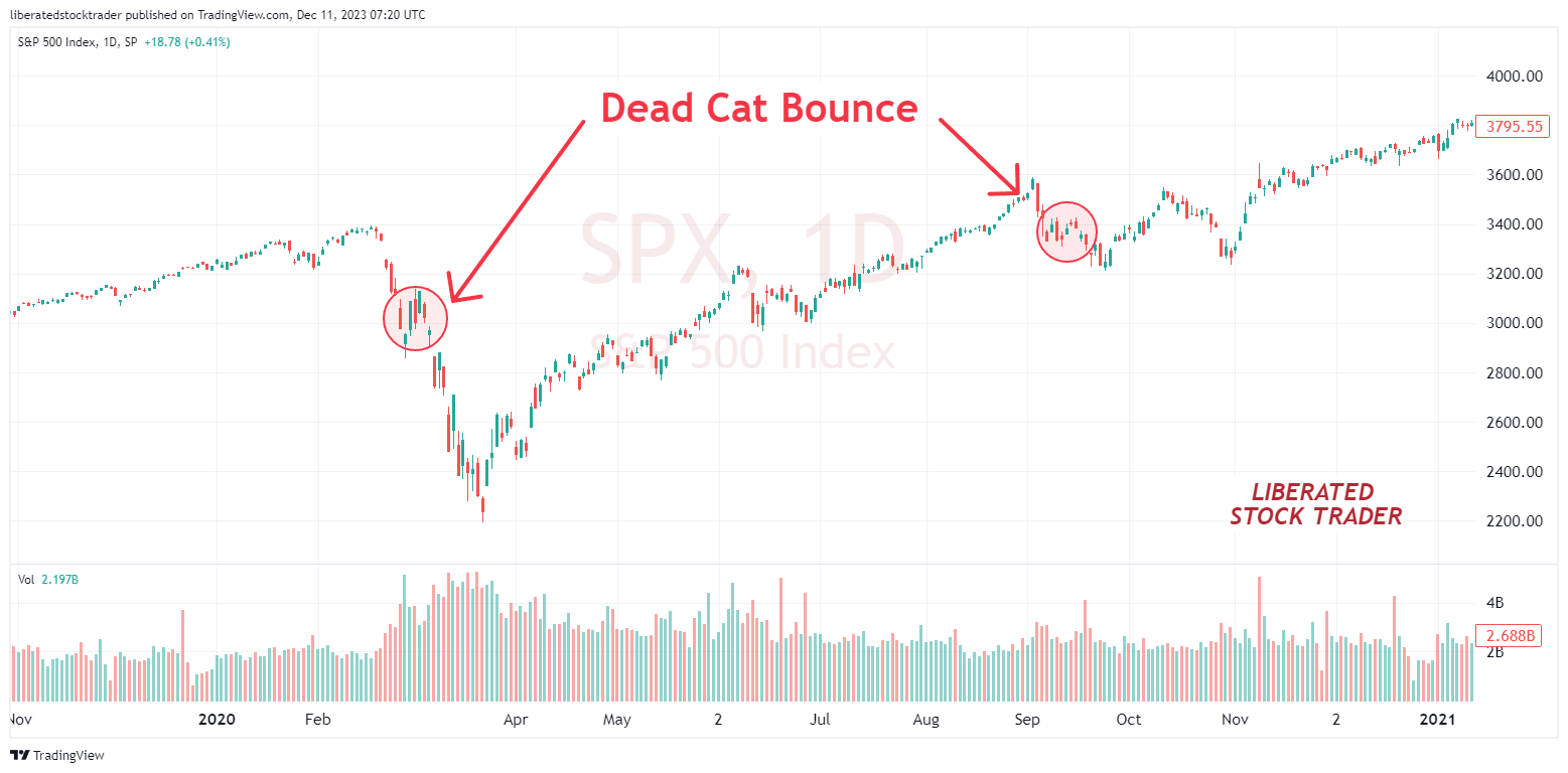 Click to Open this Chart on TradingView Identifying a Dead Cat Bounce