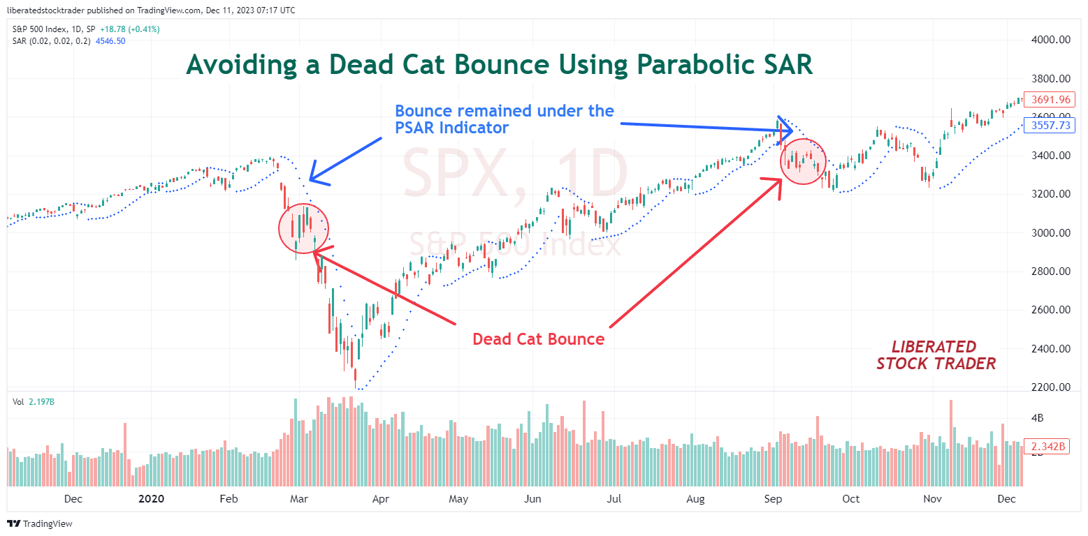 Click to Open this Chart on TradingView How to Avoid a Dead Cat Bounce. Try Using the Parabolic SAR indicator.